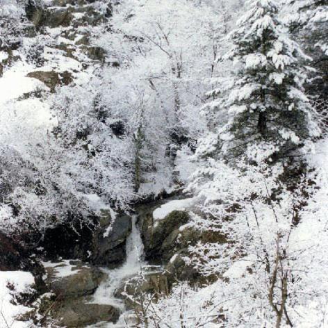 Villa Kastanodasos Emporio  Luaran gambar