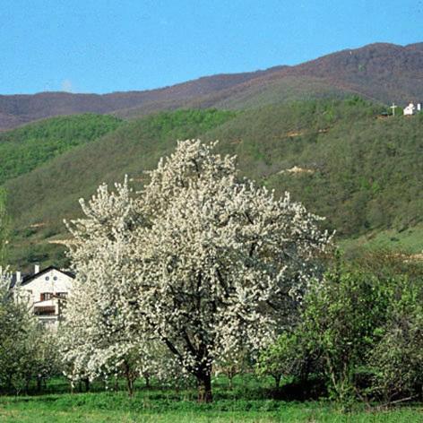 Villa Kastanodasos Emporio  Luaran gambar
